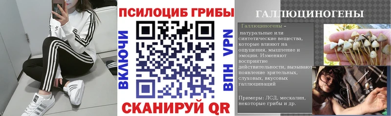 Купить закладки Туймазы Галлюциногенные грибы MAGIC MUSHROOMS